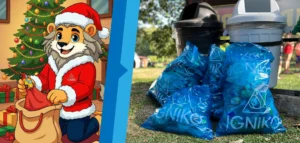 como reducir residuos en navidad igniko