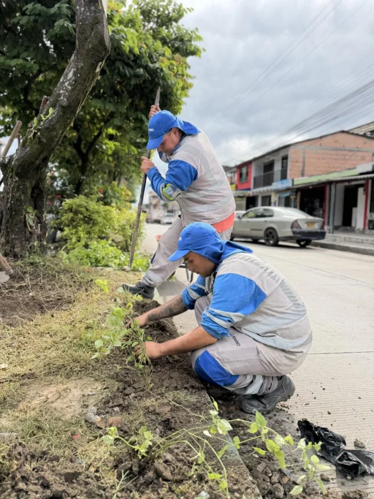 recuperacion simon bolivar igniko